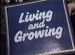 Living and Growing title 1993.jpg